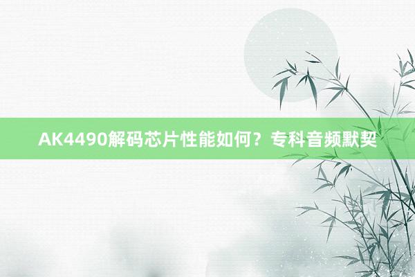 AK4490解码芯片性能如何？专科音频默契