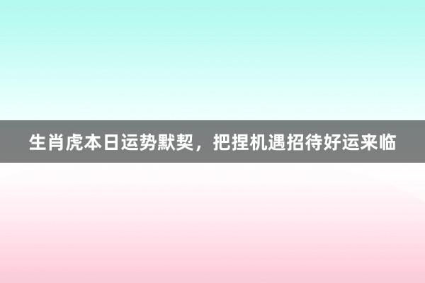 生肖虎本日运势默契，把捏机遇招待好运来临