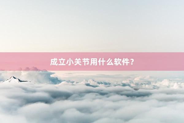 成立小关节用什么软件？