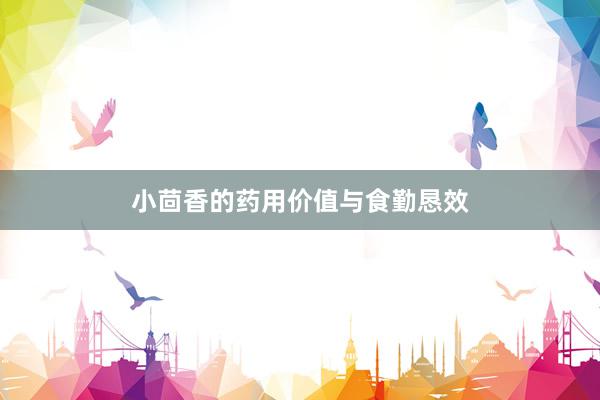 小茴香的药用价值与食勤恳效